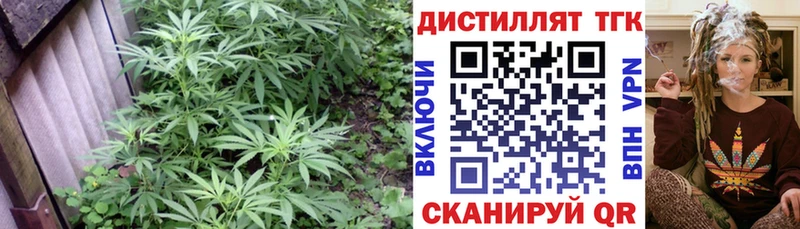 Дистиллят ТГК гашишное масло  сайты даркнета клад  Новотитаровская 